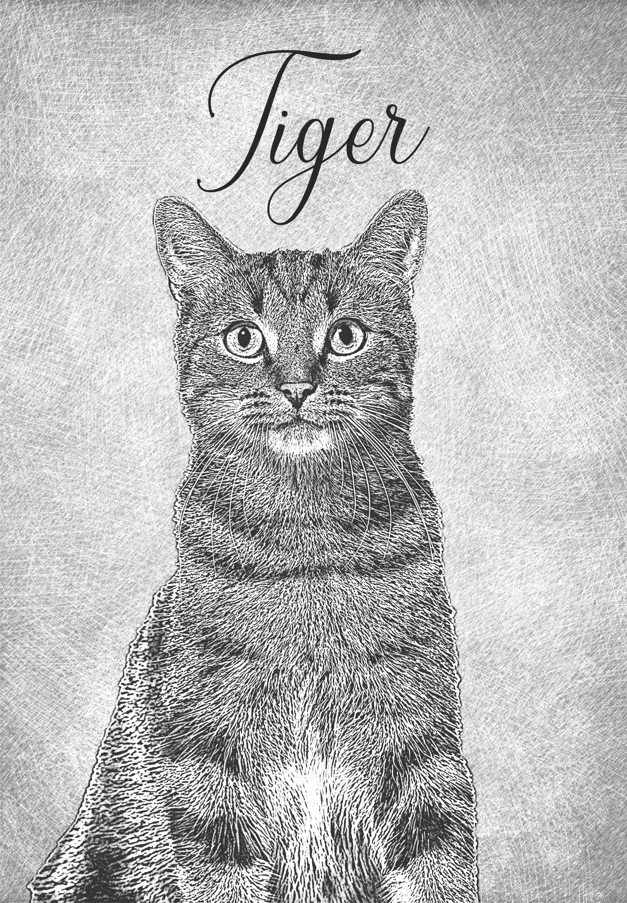 Poster animales dibujo personalizado en blanco y negro - TenVinilo
