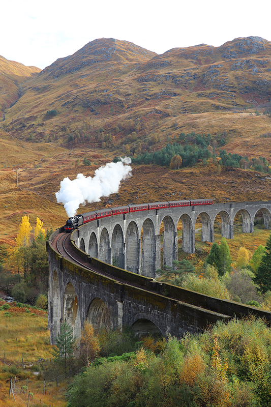 Poster foto realista tren en movimiento - TenVinilo