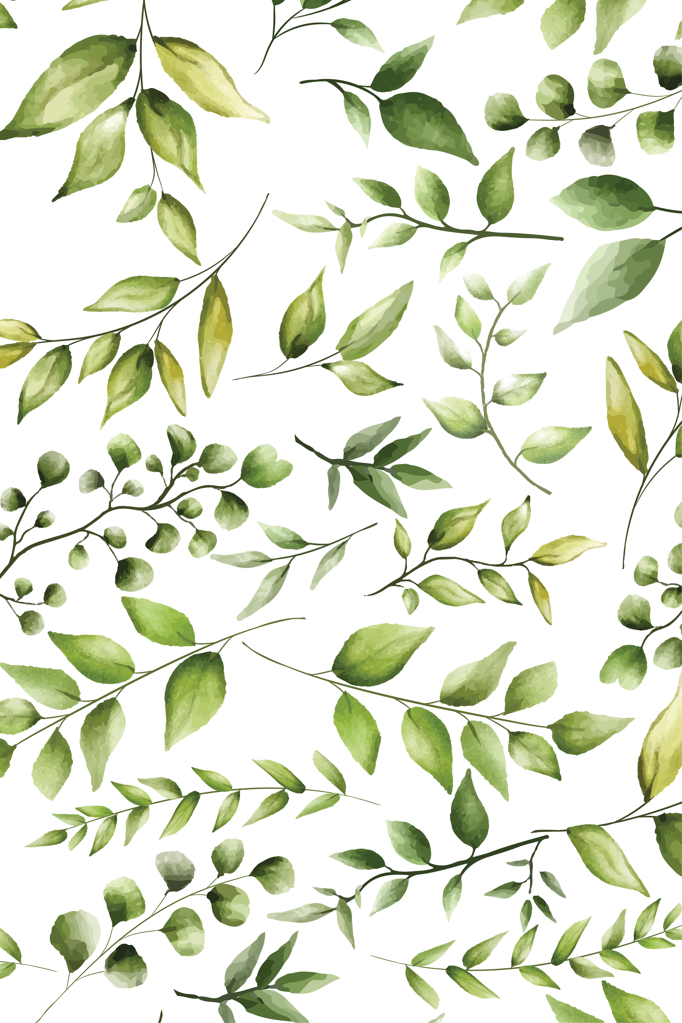 Poster plantas hojas de eucalipto acuareladas - TenVinilo