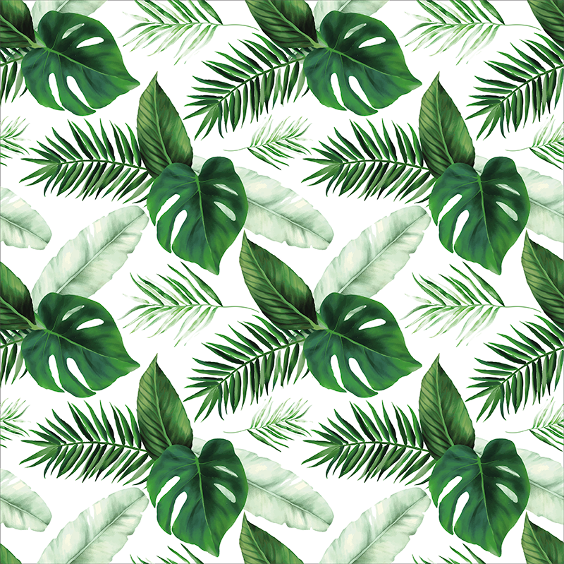 Poster plantas dibujo de hojas tropicales - TenVinilo