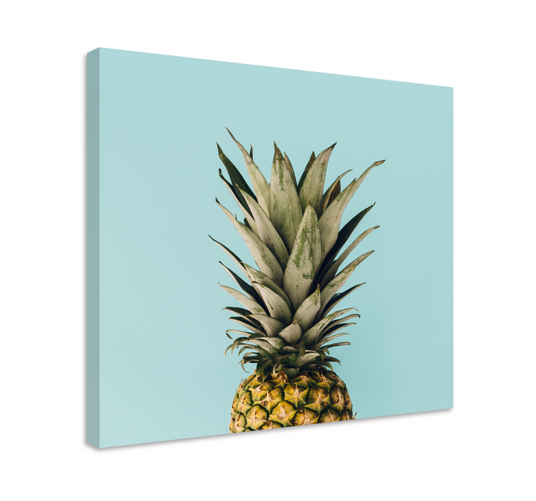 Cuadro plantas Piña - TenVinilo