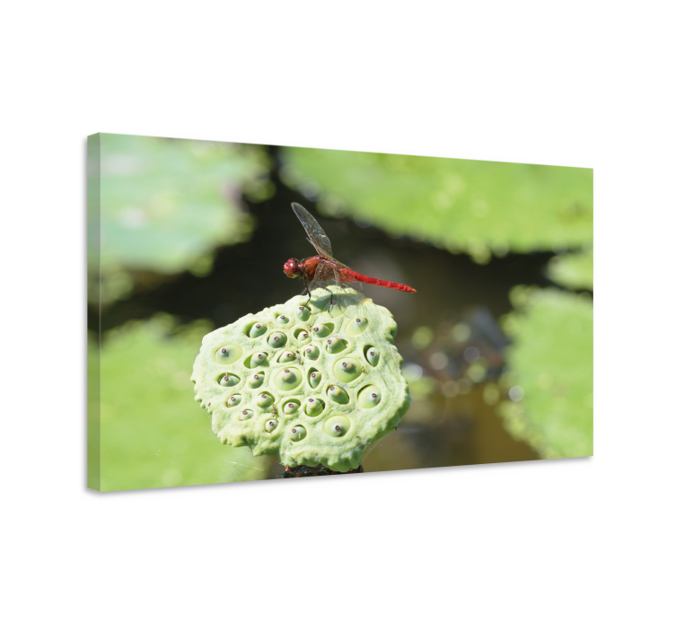 Cuadro libélulas Hojas detalladas con - TenVinilo