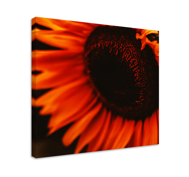 Cuadro de flores Girasol naranja - TenVinilo