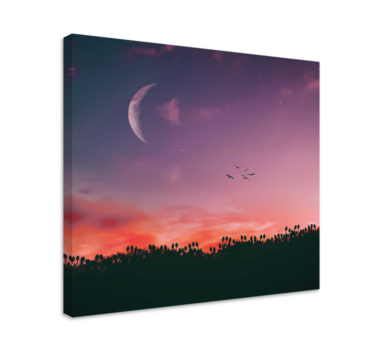 Cuadro paisajes cielo crepuscular a la luz de la luna - TenVinilo