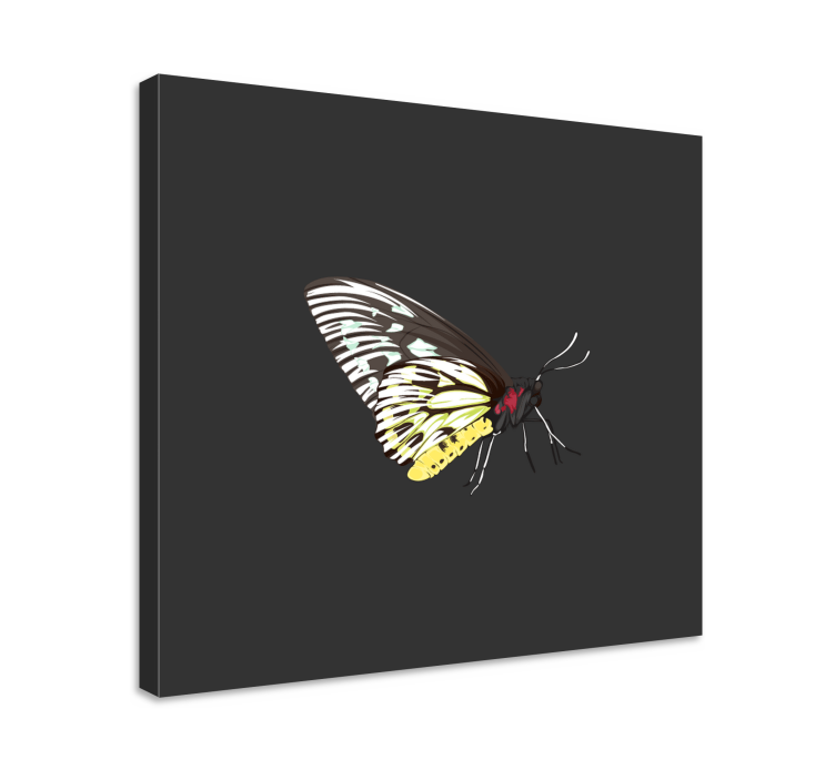 Cuadro mariposas perfil elegante - TenVinilo