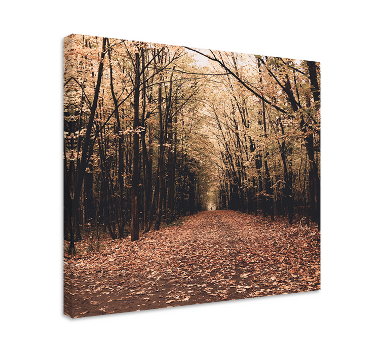 Cuadro árboles Naturaleza hermoso bosque en otoño - TenVinilo