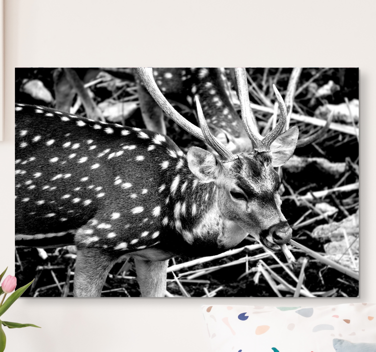 Cuadro ciervo blanco y negro - TenVinilo