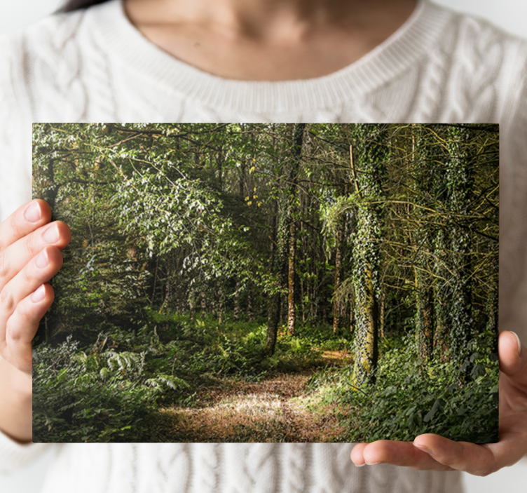 Cuadro árboles Naturaleza camino arbolado en el bosque - TenVinilo