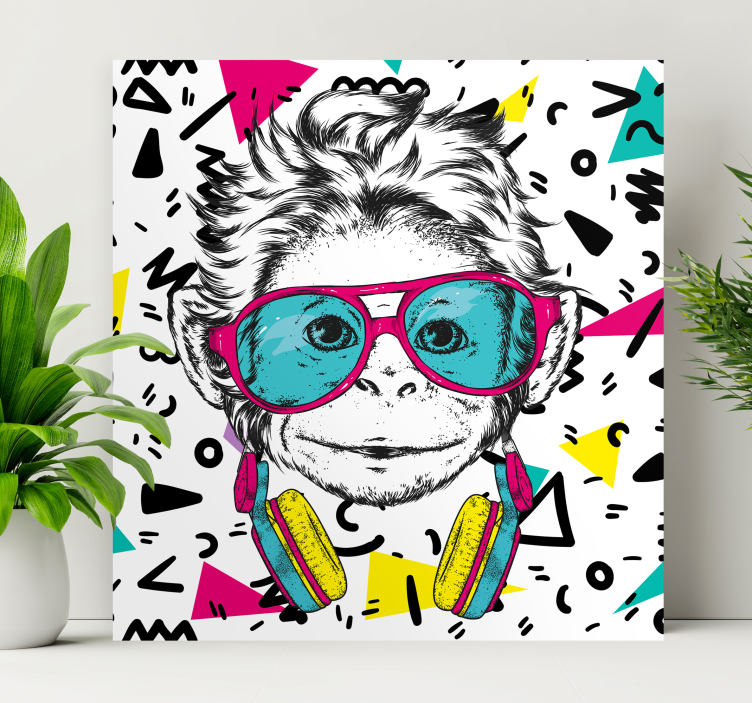 Cuadro juvenil Mono funky - TenVinilo