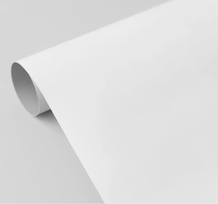 Vinilo de color Blanco - TenVinilo