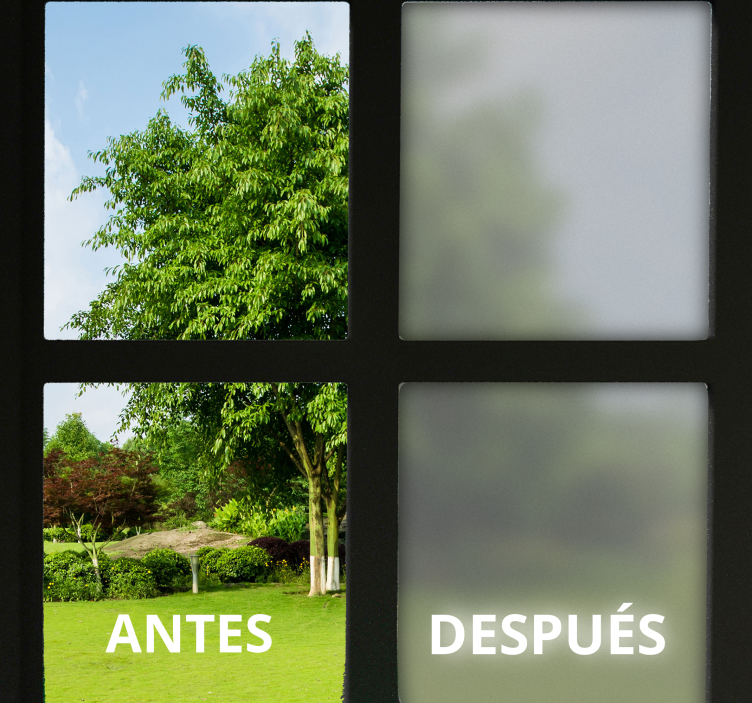 Vinilo para cristales translúcido básico - TenVinilo