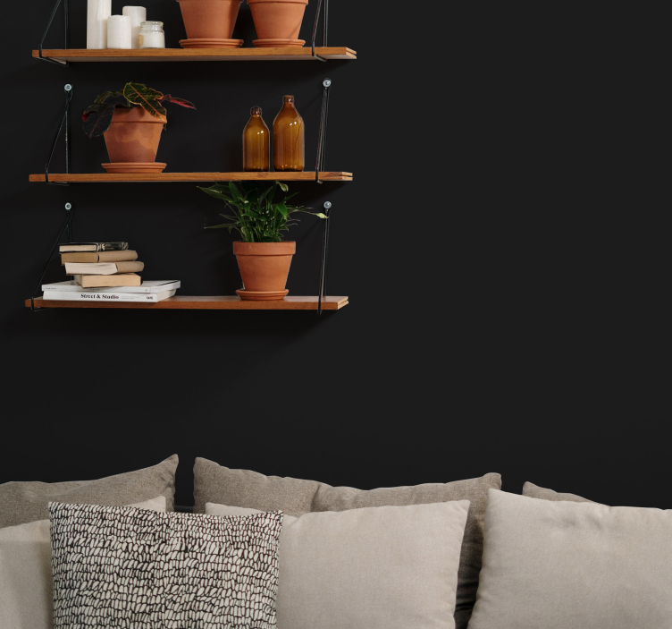 Vinilo de color Negro - TenVinilo