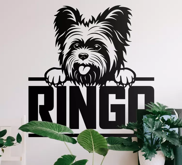 Vinilo Bonito perro yorkshire asomando - TenVinilo