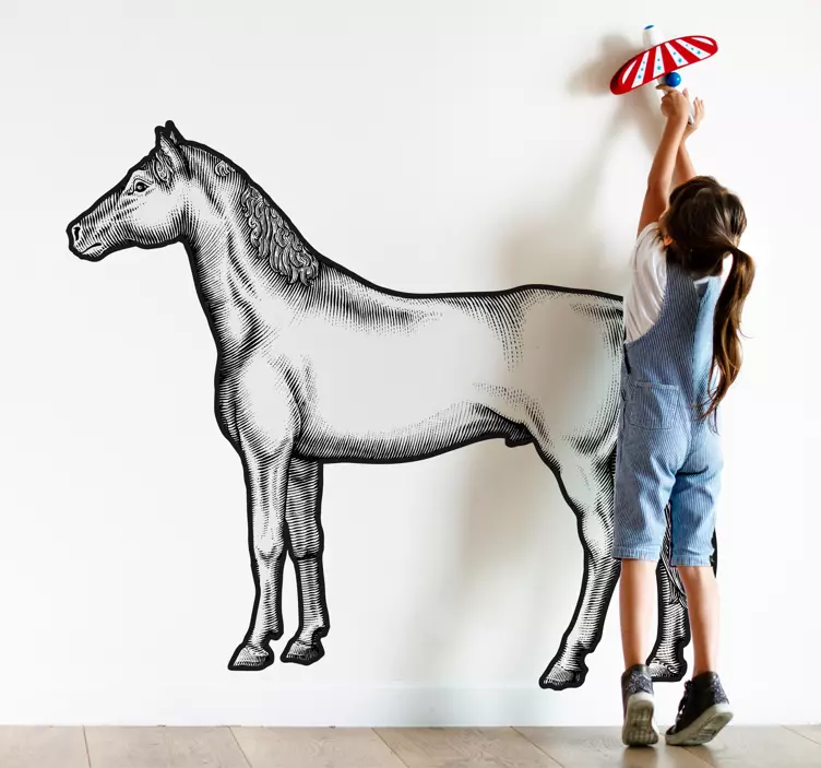 Vinilo animales caballo dibujo realista - TenVinilo
