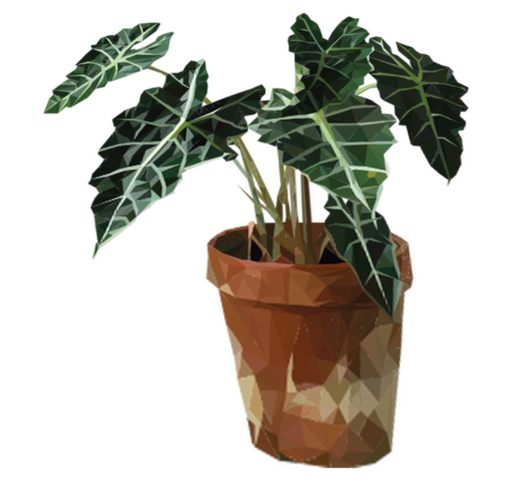 Alfombra vinílica flores maceta geométrica - TenVinilo