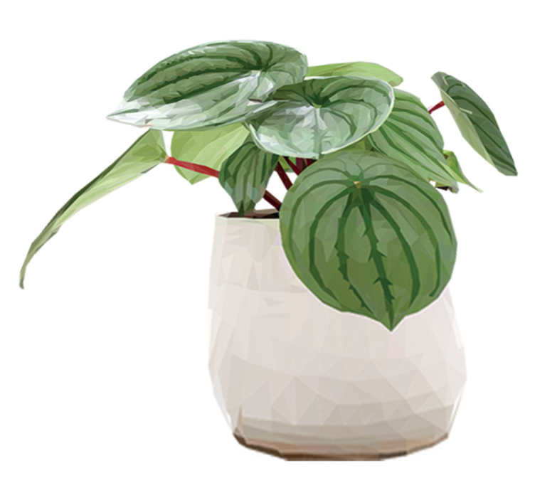 Alfombra vinílica flores planta de interior sencilla - TenVinilo