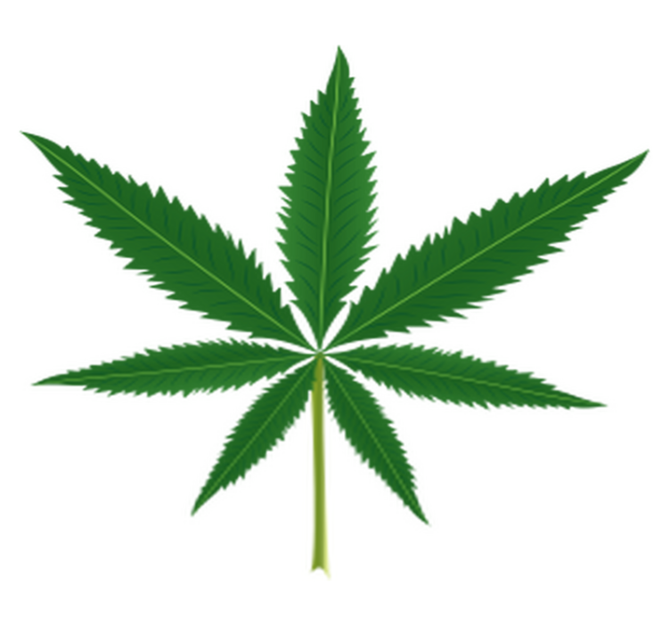 Alfombra vinílica flores hoja de marihuana - TenVinilo