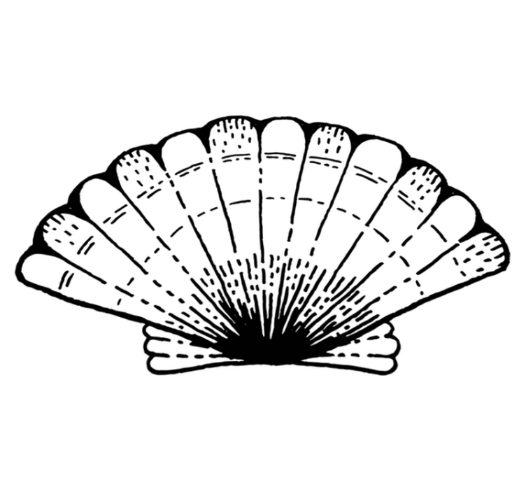 Aflombra vinílica animales Concha - TenVinilo