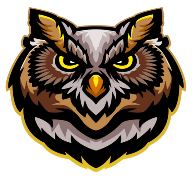 Alfombra vinílica dormitorio Cara de búho marrón enojado - TenVinilo