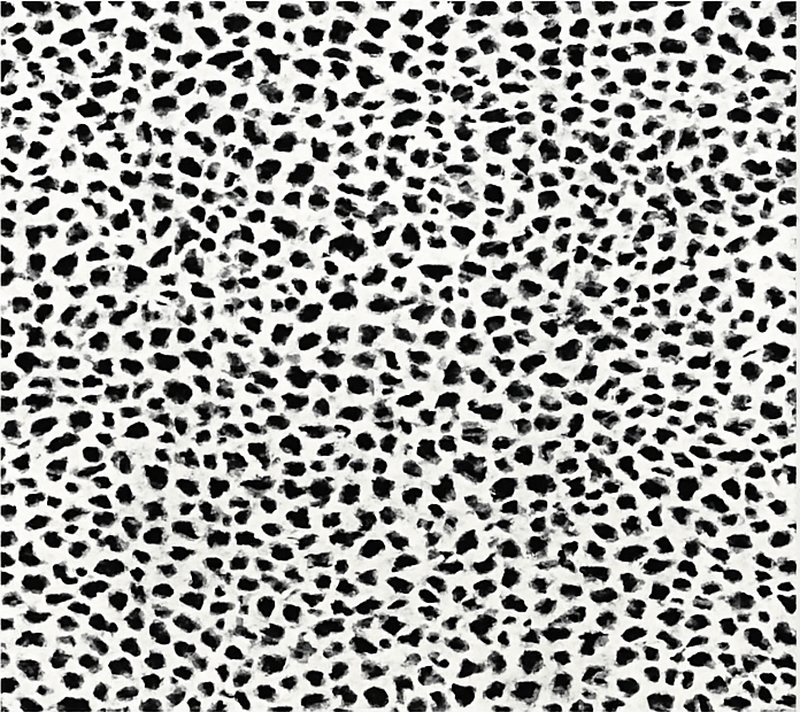 Alfombra vinilo comedor estampado de leopardo monocromático - TenVinilo