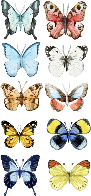 Alfombra vinílica animales diez mariposas de colores - TenVinilo