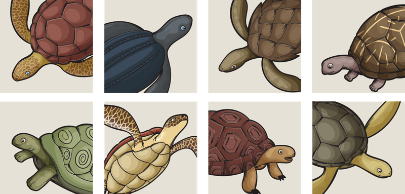 Alfombra vinílica animales diseño de tortugas - TenVinilo