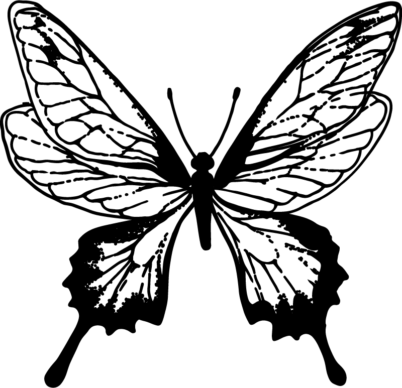 Alfombra vinílica animales mariposa elegante contorno - TenVinilo