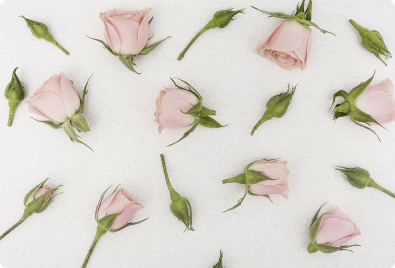 Alfombra vinílica flores flor romántica de primavera - TenVinilo