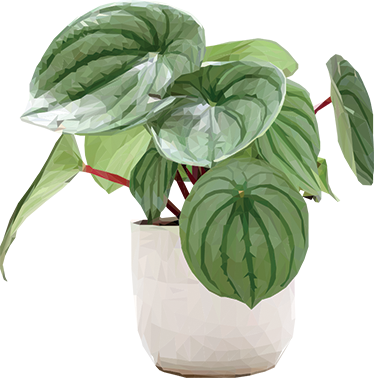 Alfombra vinílica flores planta de interior sencilla - TenVinilo