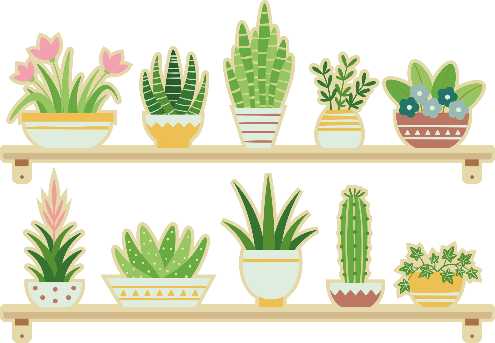 Alfombra vinílica cocina estante para cactus - TenVinilo