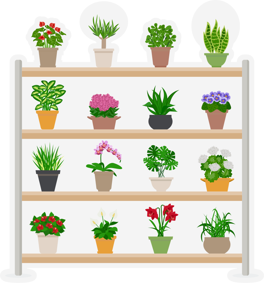 Alfombra vinílica cocina plantas en estantes - TenVinilo