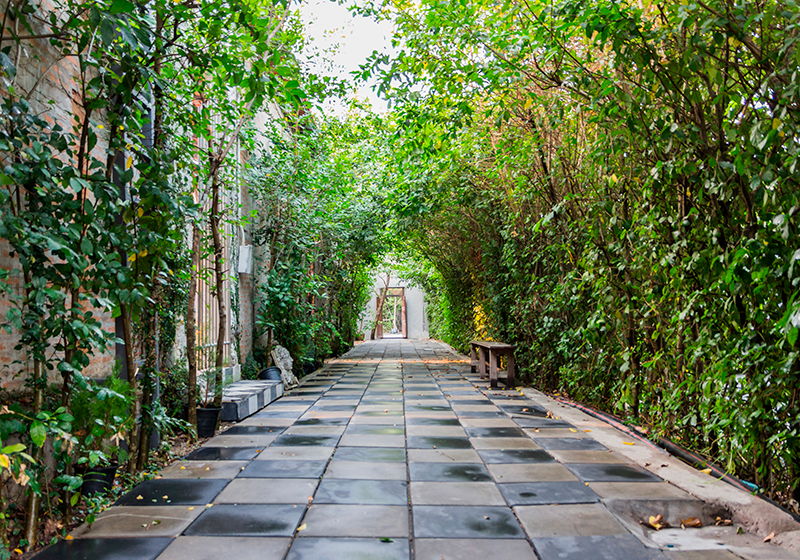 Alfombra vinílica verde camino sereno del jardín - TenVinilo