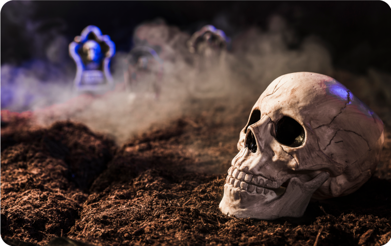 Alfombra vinílica dormitorio Cráneo en la niebla - TenVinilo