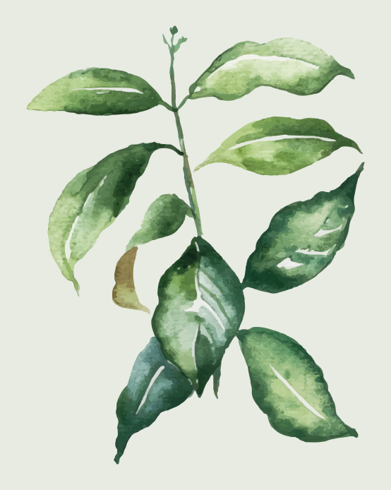 Alfombra vinílica dormitorio Hoja de palma de lima - TenVinilo