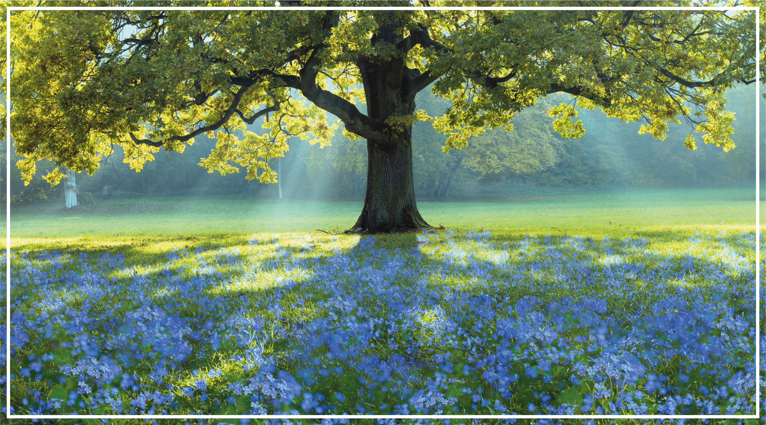 Alfombra vinílica naturaleza escena de árbol floreciente - TenVinilo