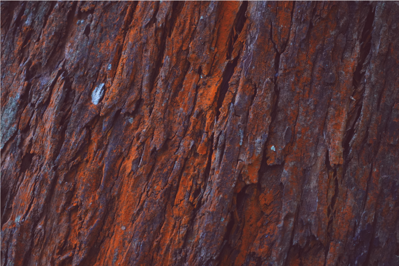 Alfombra vinílica textura madera Efecto de veta de madera rústica - TenVinilo
