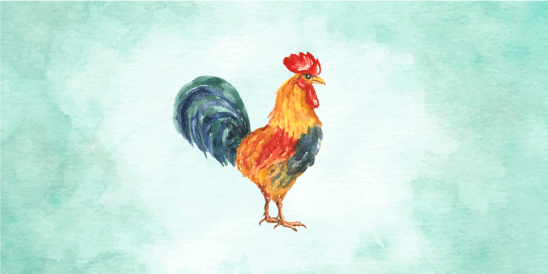 Aflombra vinílica animales Dibujo realista en color de gallo - TenVinilo