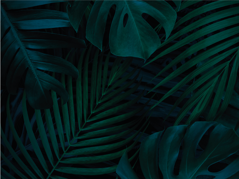 Alfombra vinílica flores follaje tropical - TenVinilo