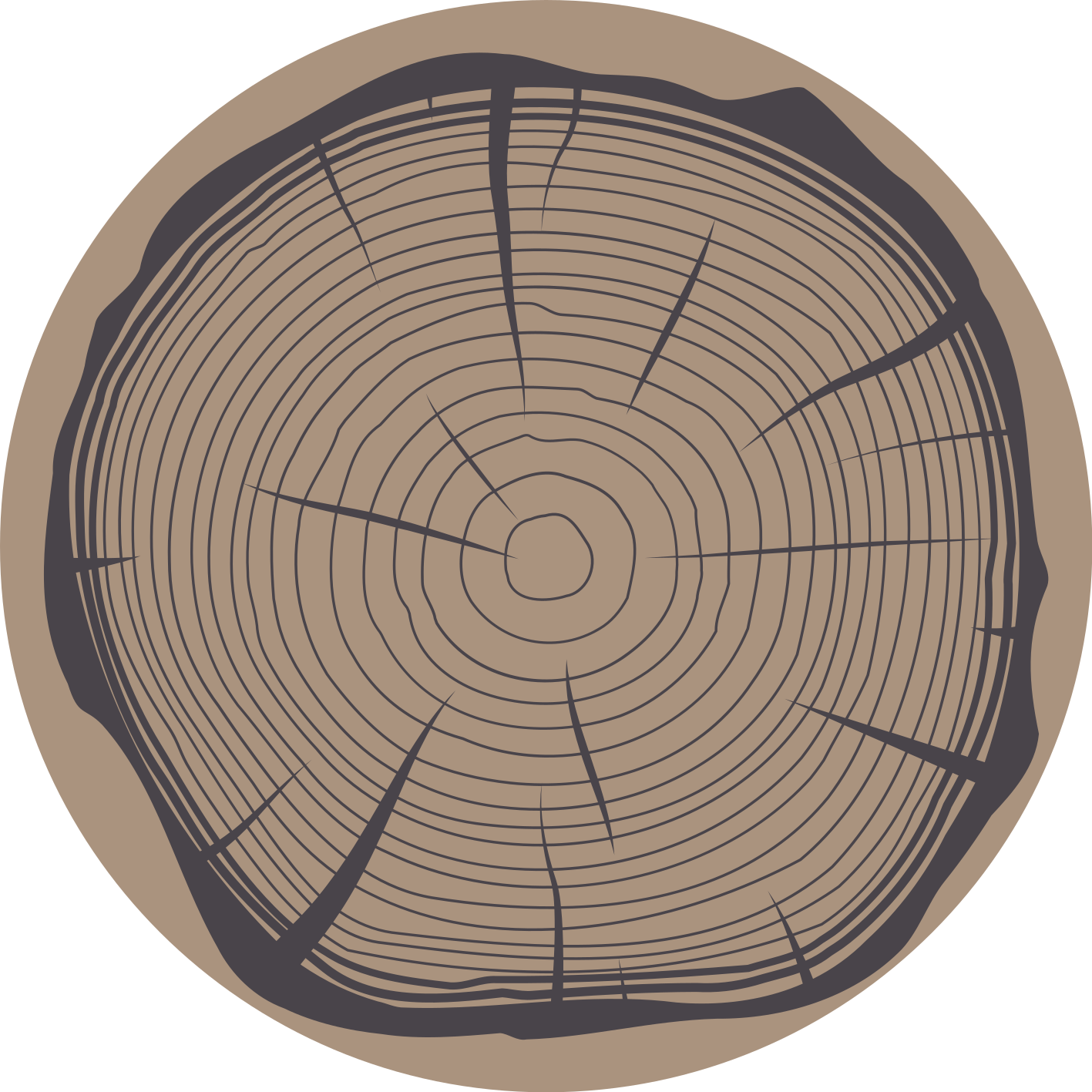 Alfombra vinílica redonda naturaleza tronco de árbol - TenVinilo