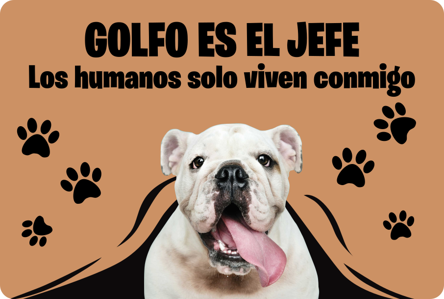 Alfombra vinilo recibidor foto personalizada de mascotasUna foto  - TenVinilo