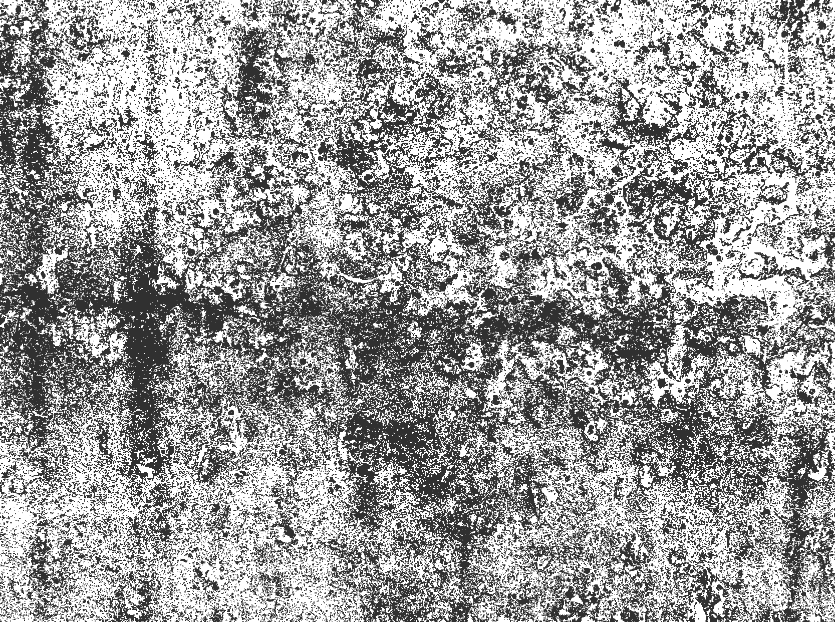 Alfombra vinilo comedor gris descolorido - TenVinilo