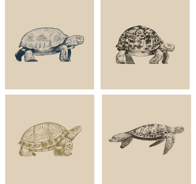 Papel tapiz vintage tortugas sobre fondo beige - TenVinilo