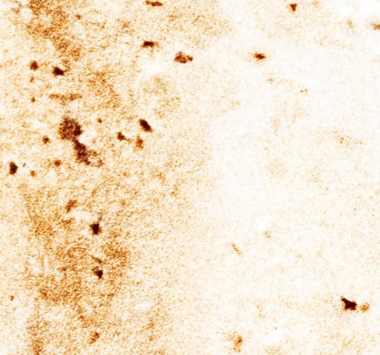 Papel pintado mármol patrón tonos cálidos - TenVinilo