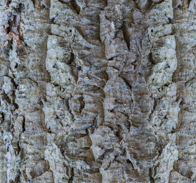 Papel pintado moderno Efecto corcho gris claro - TenVinilo
